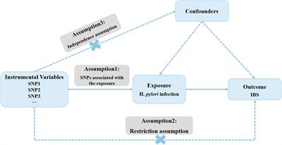 No evidence for a causal link between Helicobacter pylori infection and Irritable bowel syndrome: a Mendelian randomization study